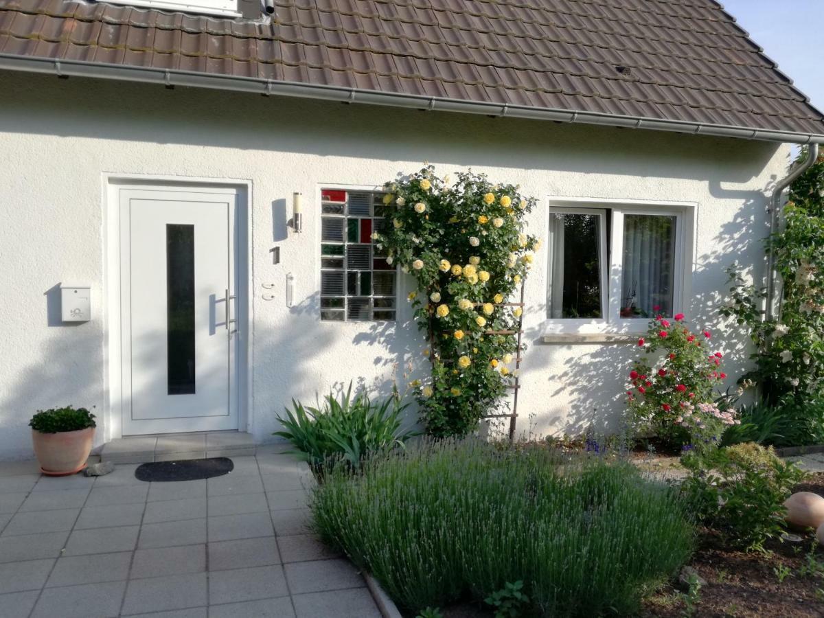 Ferien-Appartement Goldhausen Exterior photo